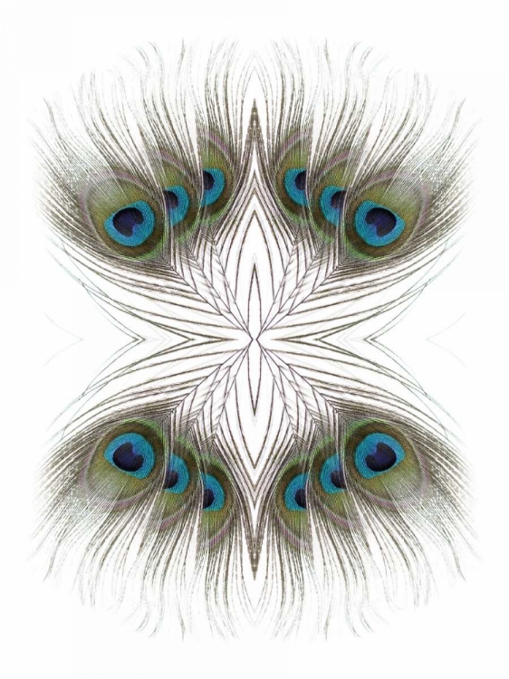 Picture of PEACOCK FEATHERS KALEIDOSCOPE