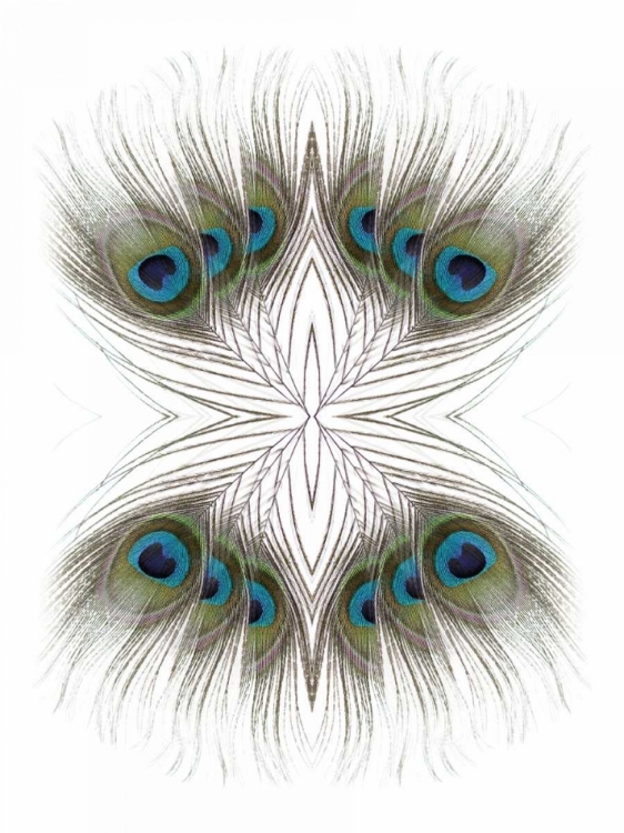 Picture of PEACOCK FEATHERS KALEIDOSCOPE