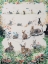 Picture of A RABBIT FOR ALL SEASONS
