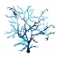 Picture of FAN DE LA MER VI