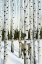 Picture of DEER IN SNOWFALL II