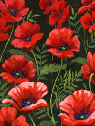 Picture of POPPIES AT MIDNIGHT I