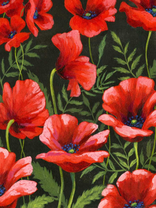 Picture of POPPIES AT MIDNIGHT II