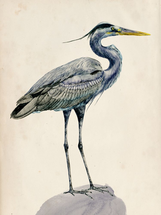Picture of BLUE HERON RENDERING I