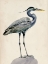 Picture of BLUE HERON RENDERING I