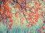 Picture of AUTUMN TAPESTRY II