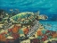 Picture of DEEP SEA SWIMMING II