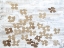 Picture of STENCILED POSIES II