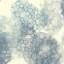 Picture of MATRIX STUDY I