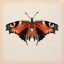 Picture of BUTTERFLY STUDY V