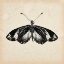 Picture of BUTTERFLY STUDY VI