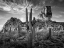 Picture of BANDW DESERT VIEW I