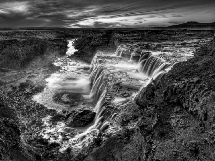 Picture of BANDW DESERT VIEW II