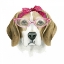 Picture of VINTAGE PUP I