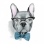Picture of VINTAGE PUP IV