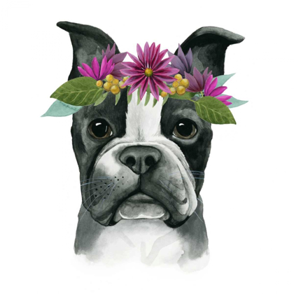 Picture of FLOWER CROWN PUP II