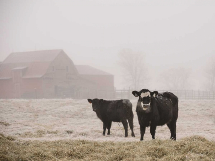 Picture of FARM STUDY III