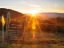 Picture of FARM STUDY VII