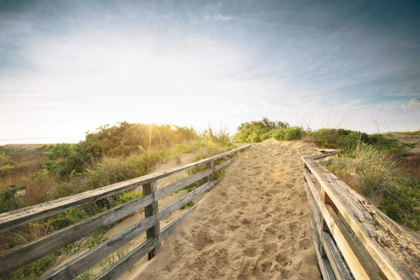 Picture of FIRST LANDING DUNES III