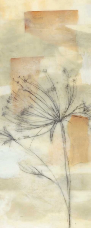 Picture of NEUTRAL LACE II