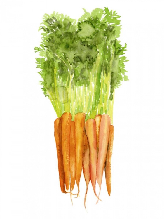 Picture of WATERCOLOR VEGGIE III