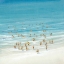Picture of OCEAN SWIM I