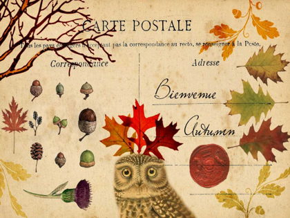 Picture of COLLECTED AUTUMN V