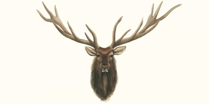 Picture of ELK BUST