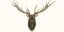Picture of ELK BUST