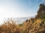 Picture of PACIFIC NORTHWEST OREGON VIII