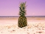 Picture of SOUTH FLORIDA PINEAPPLE I