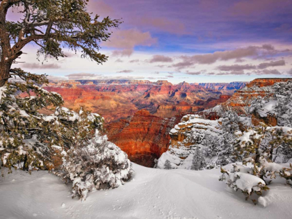 Picture of SNOWY GRAND CANYON II
