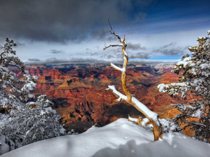 Picture of SNOWY GRAND CANYON III