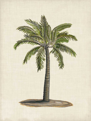 Picture of BRITISH PALMS I