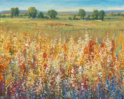 Picture of GOLD AND RED FIELD I