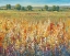 Picture of GOLD AND RED FIELD I