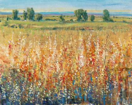 Picture of GOLD AND RED FIELD II