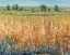 Picture of GOLD AND RED FIELD II