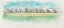 Picture of TREELINE IMPRESSIONS II