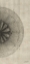 Picture of CROSS CUT IV RIGHT