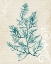 Picture of TEAL SEAWEED I