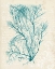 Picture of TEAL SEAWEED II