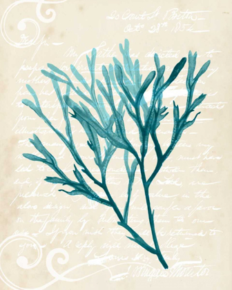 Picture of TEAL SEAWEED III