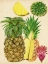 Picture of TROPICAL PINEAPPLE STUDY I