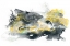Picture of LUNAR VEIL II