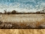 Picture of INFINITE PASTURE