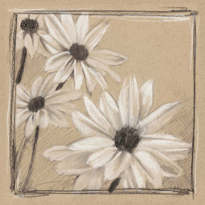 Picture of WHITE FLORAL STUDY II