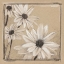 Picture of WHITE FLORAL STUDY II