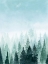 Picture of INTO THE TREES I