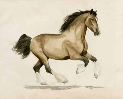 Picture of CLYDESDALE I